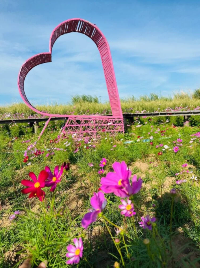 Large pink heart-shaped bamboo structure surrounded by pink cosmos flowers in a riverside garden