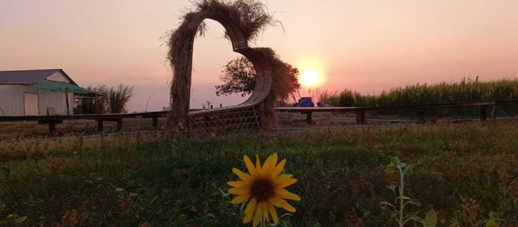 Our handmade straw heart gate creates a perfect frame for the sunset.