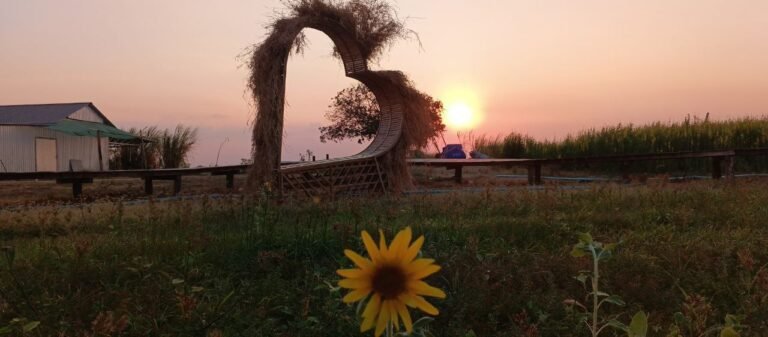 Wide view of a 5-meter tall heart-shaped garden gate made from bamboo and straw, standing next to a wooden walking bridge at sunset.