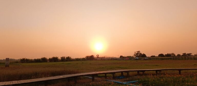 The wooden walkways allow you to explore the fields without getting muddy.