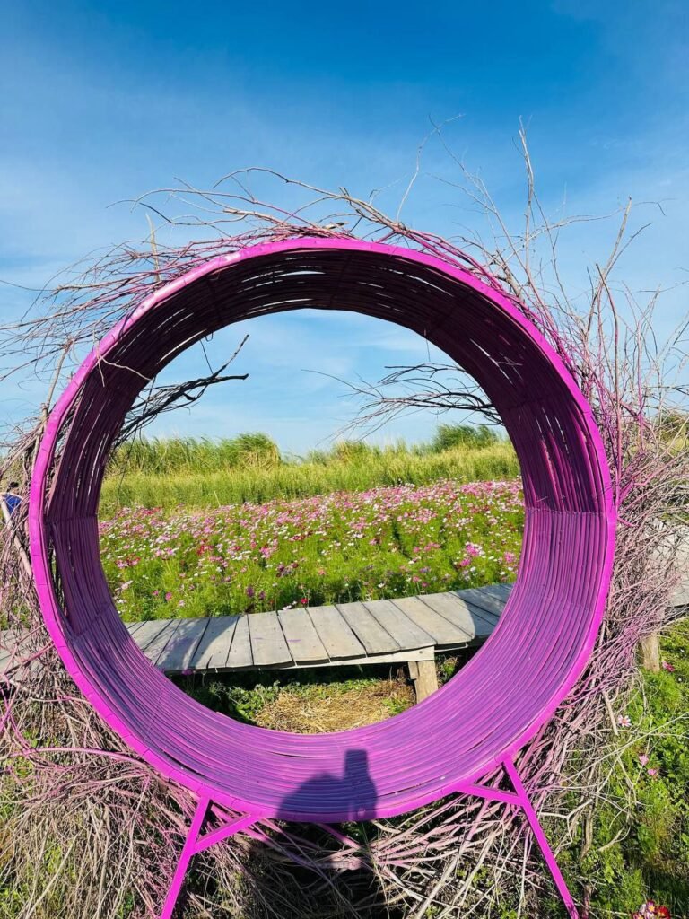 The "Portal" effect. By placing the ring in the middle of the path, it acts as a giant picture frame that highlights the beauty of the nature behind it.