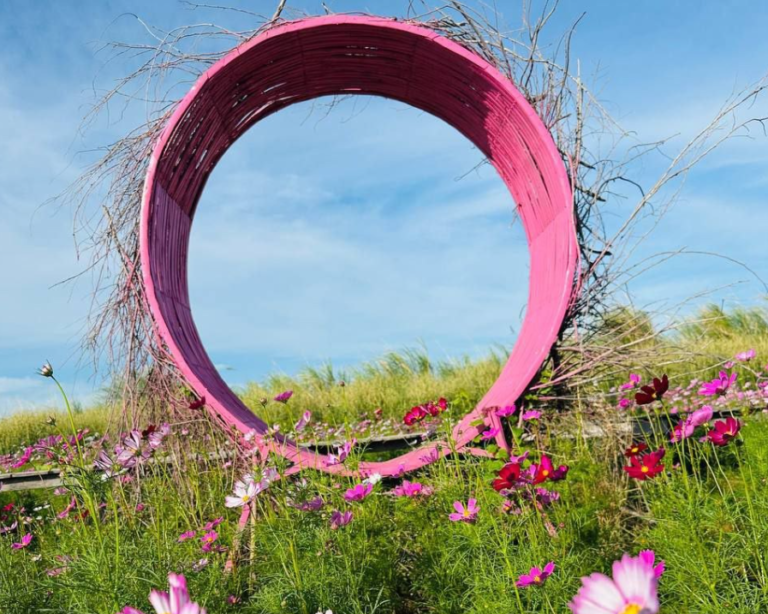 We chose this electric pink-purple color specifically to pop against the blue sky and green field. It makes the structure visible from across the entire garden.