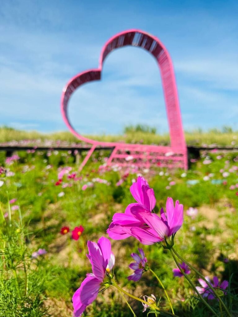 The finished result. Our DIY Interlocking Pink Hearts sitting at the end of the bridge. The bright color makes it visible from across the entire garden.