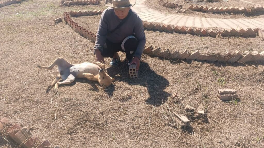 Founder laying bricks by hand with dog Dudo during early construction
