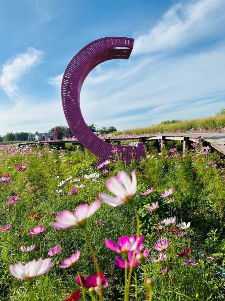 Purple crescent moon sculpture among pink cosmos flowers