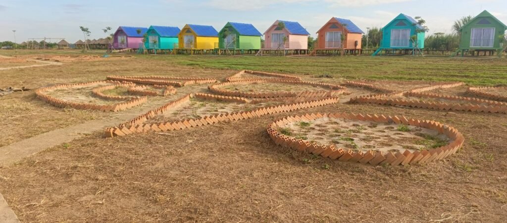 Our "Star Garden" experiment: We used old bricks to create a star shape before planting.
