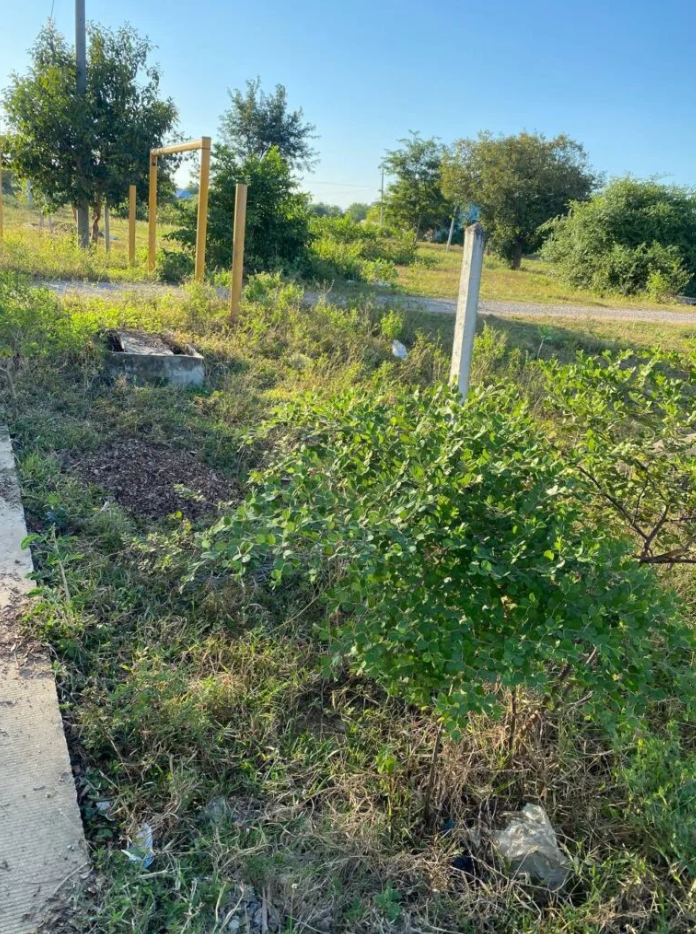 The site of my first business failure in 2014. I spent all my money on ads, but the location remained empty.