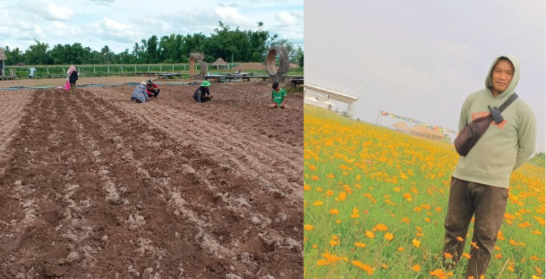 5 Leadership Lessons from Real-Life Experience That Changed How I Lead Split screen comparison showing leadership in action: On the left, the Dream Garden team plants seeds in the dirt; on the right, founder Phonh stands in the resulting field of blooming yellow cosmos flowers.