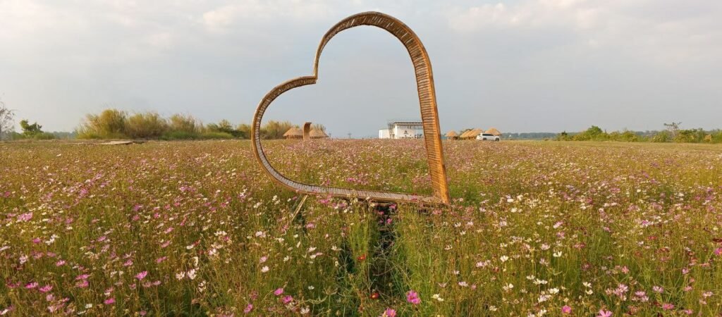 Large bamboo heart photo frame standing in a field of pink cosmos flowers.