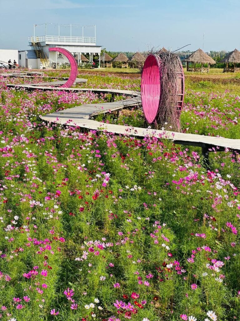 A wooden walking bridge lined with pink cosmos flowers leading to a large pink heart structure.