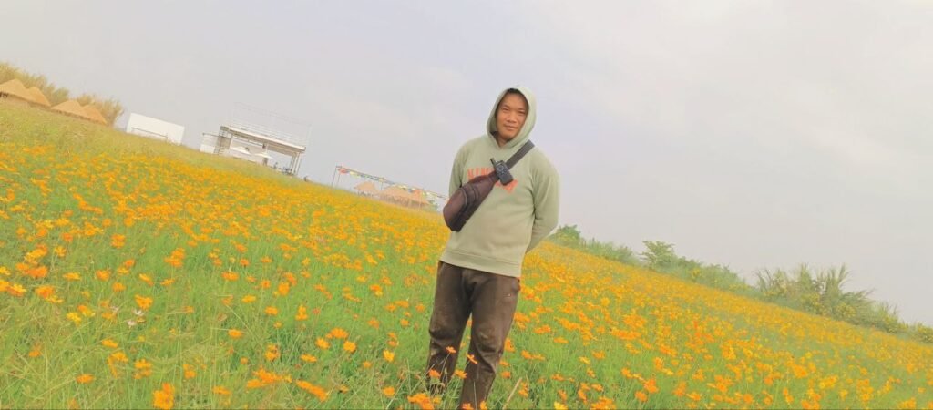 Phonh, founder of Dream Garden, standing in a blooming field of yellow cosmos flowers, showing the beautiful results of hard work.