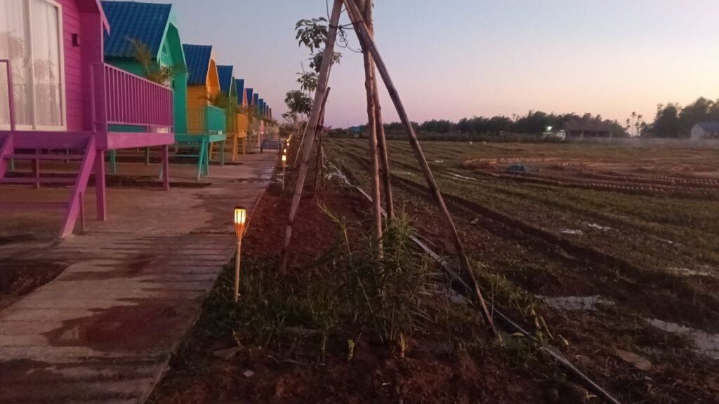 Our colorful tiny houses needed pathway lighting that wasn't too bright—this was our testing ground.