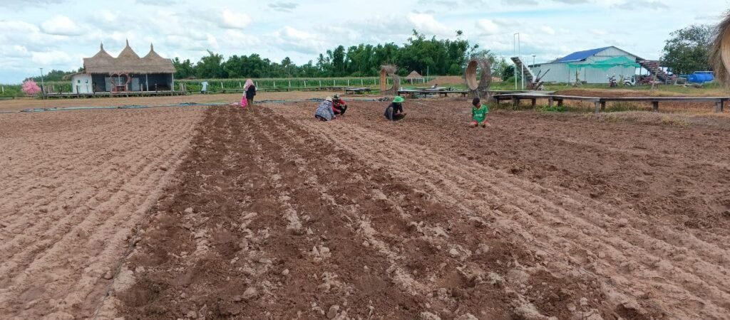 Team planting flower seeds under the hot sun at Dream Garden, demonstrating leadership by example.