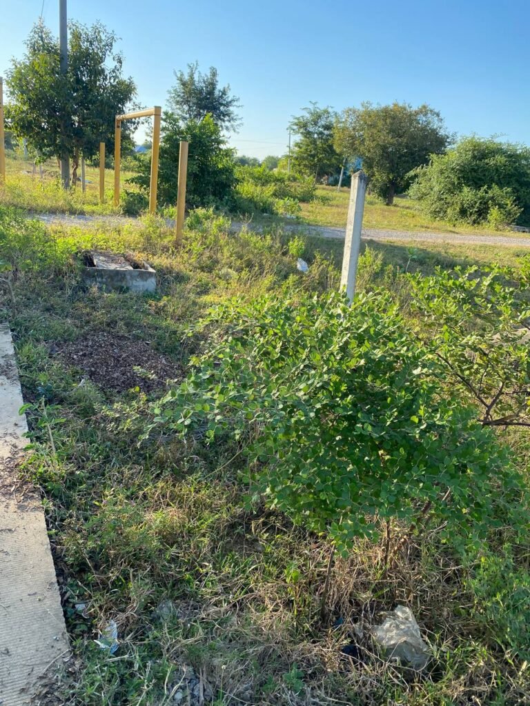 Abandoned site of my first failed business attempt due to poor location choice.