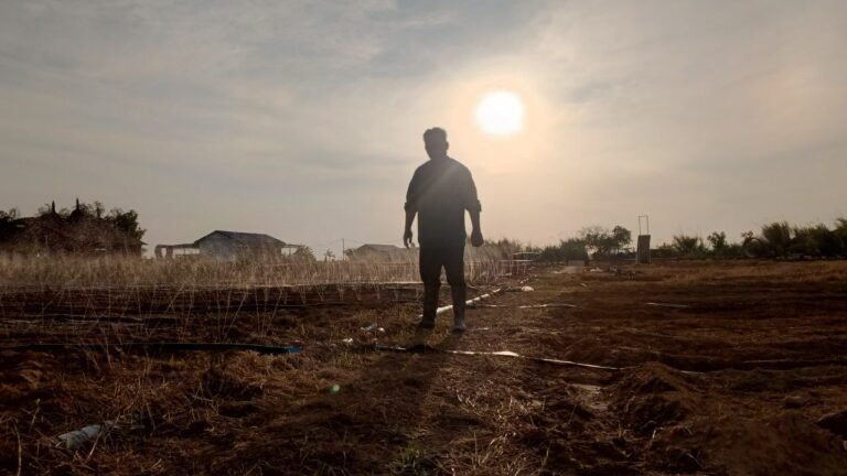 How to Stay Strong When Business Fails: A Real Story of Never Giving Up The sun will rise again. Your job is to be there when it does.