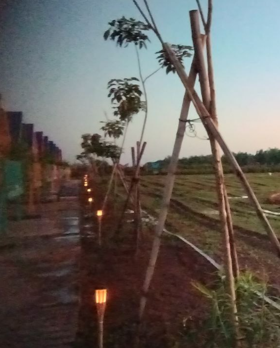 Our colorful tiny houses needed pathway lighting that wasn't too bright—this was our testing ground.