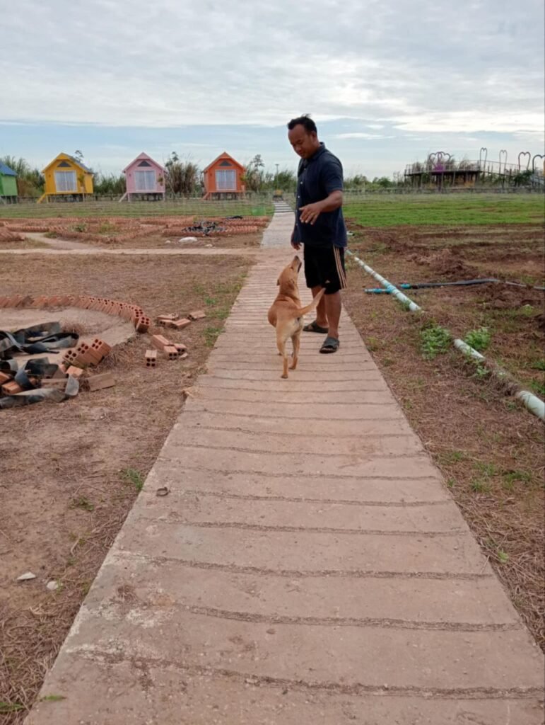 Founder playing with his dog Dudo on a garden path near small colorful cabins.