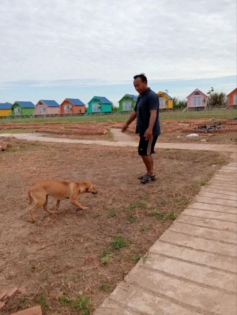 Dudo the dog playing and greeting people at the resort.