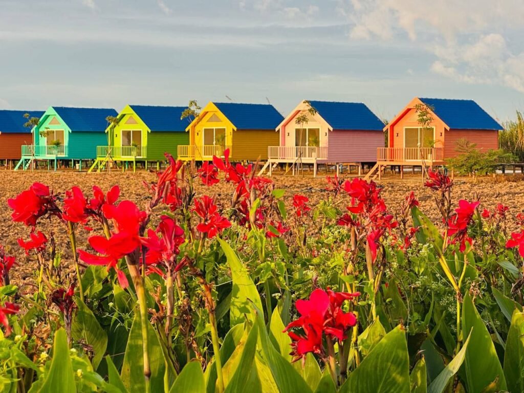 The result of grit. These colorful houses started as an idea while I was sleeping in a tent.