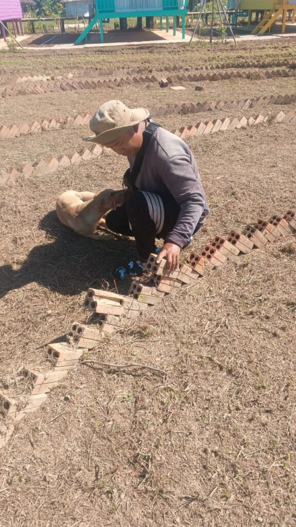 Man crouching down to lay bricks for a garden border, accompanied by a small brown dog.