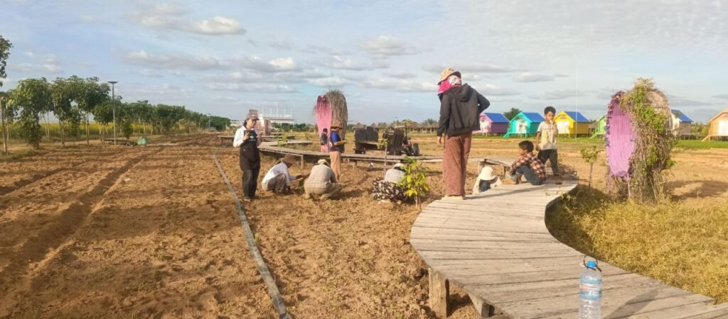 Colorful wooden cabins and landscaping at Dream Garden resort.
