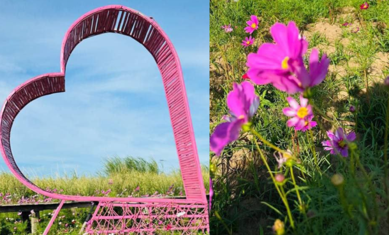 Close up of pink painted bamboo strips woven onto a steel heart frame.